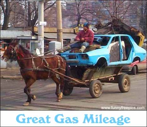 Carro Cavalo